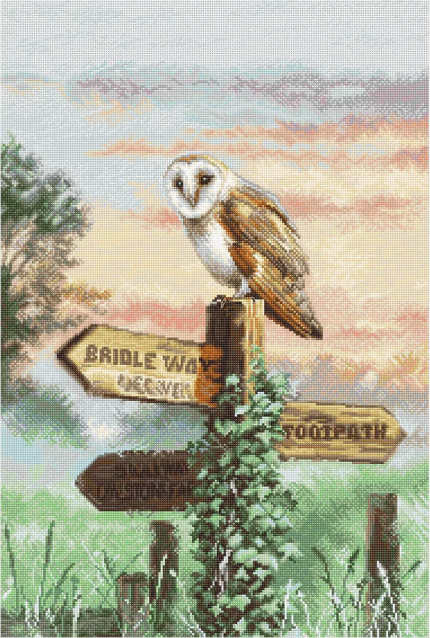 Barn Owl Counted Cross Stitch Kit: LETISTITCH, 16 Count Aida Fabric
