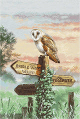 Barn Owl Counted Cross Stitch Kit: LETISTITCH, 16 Count Aida Fabric