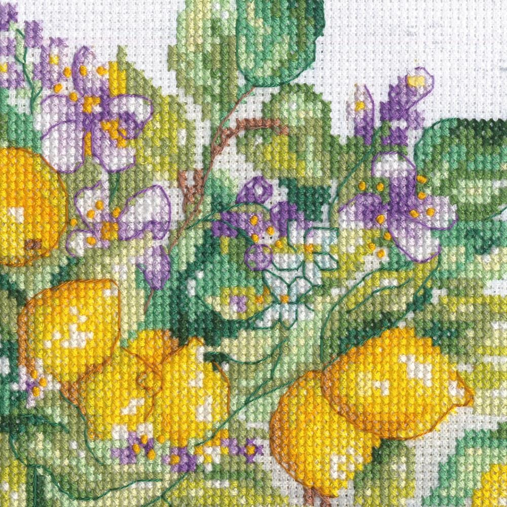 Counted Cross Stitch Kit DIMENSIONS,Lemon Jar (14 Count) , 70-35442