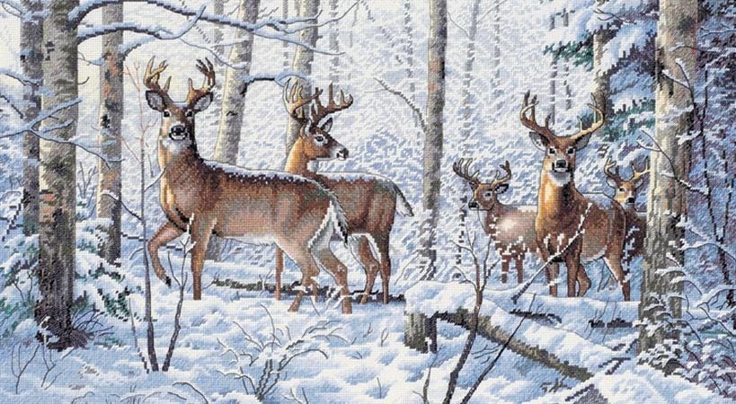 Counted Cross Stitch Kit DIMENSIONS Gold Collection, Woodland Winter, 35130