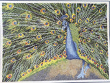 Peacock Counted Cross Stitch Kit: Metallic Gold Accents, 16ct Aida, 12x9 IN,  DMC BK729